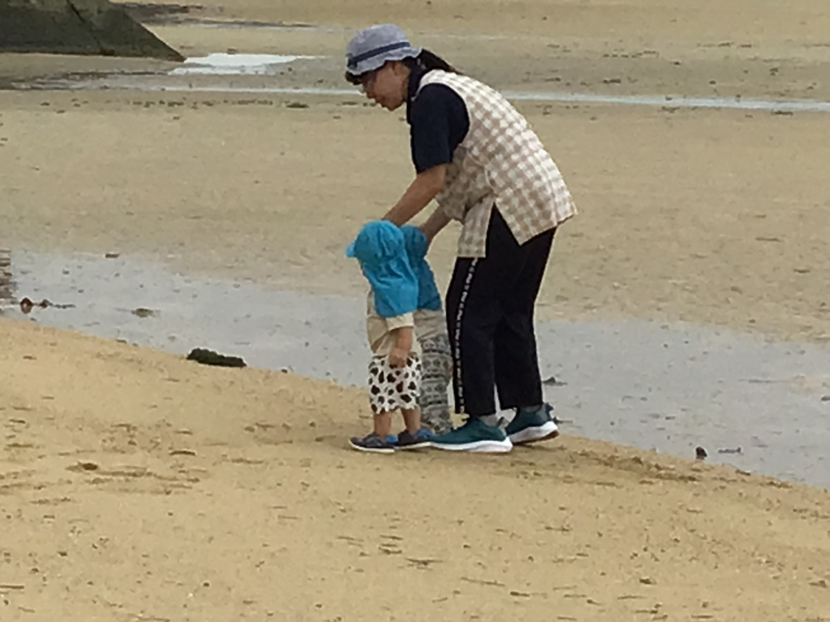 本園、ダウンロード (15) 本園、ダウンロード (15)